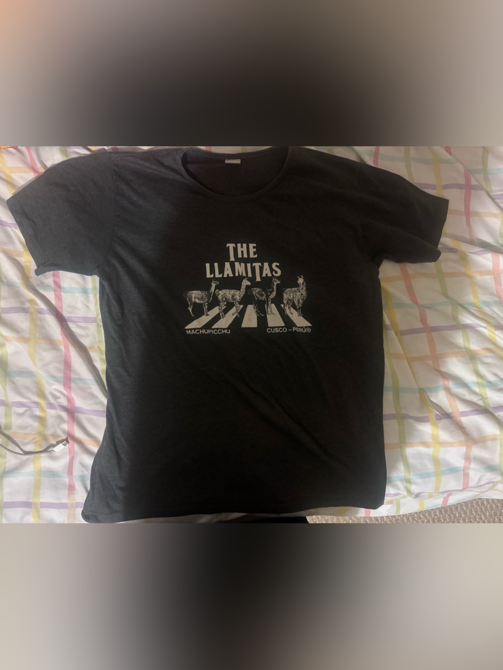 The Llamitas Graphic Tee - dark gray